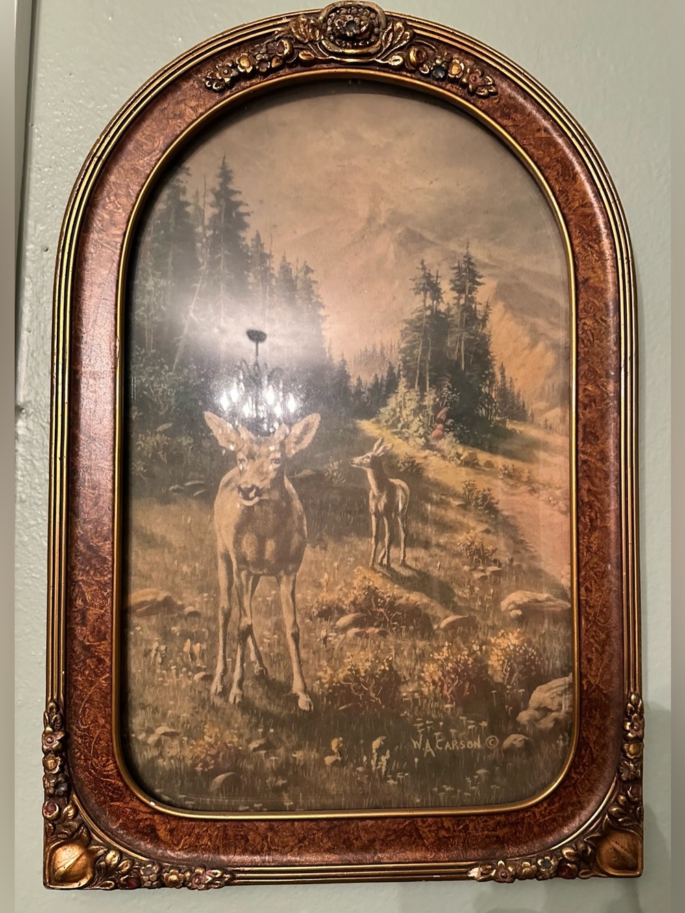 20th century (c. 1920) W.A.CARSON DEER PRINT IN ANTIQUE FRAME w CONCAVE GLASS,